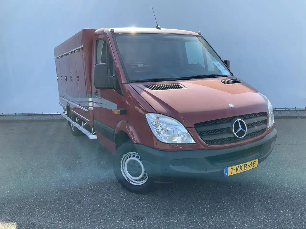 Furgone frigo Mercedes-Benz Sprinter 313 2.2 CDI 366 Vriesauto _40gr 10 Deuren werkt 10: foto 28
