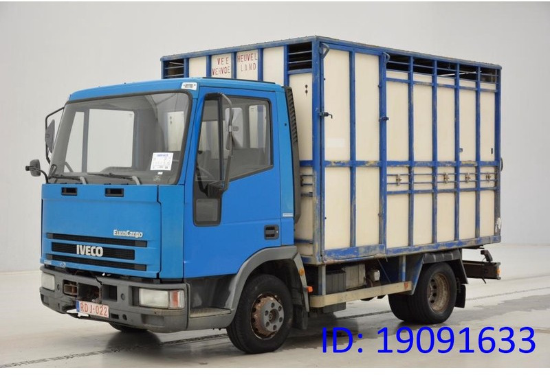 Iveco 65E14* - Autocarro trasporto bestiame: foto 1 Iveco 65E14* - Autocarro trasporto bestiame: foto 1