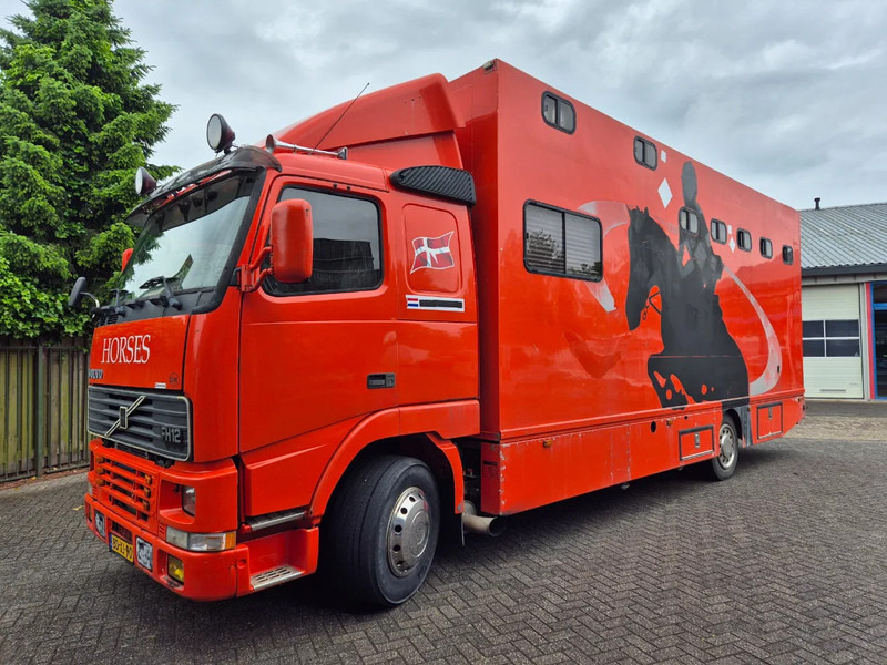Volvo FH 12 380pk luchtgeveerd voor en achteras - Van trasporto cavalli: foto 1 Volvo FH 12 380pk luchtgeveerd voor en achteras - Van trasporto cavalli: foto 1