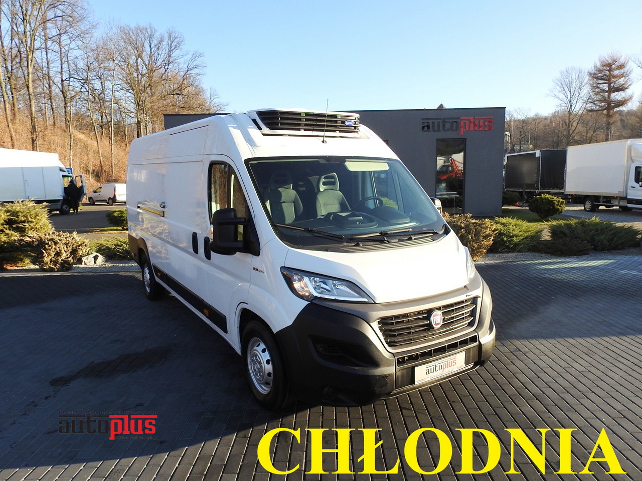 FIAT DUCATO REFRIGERATOR VAN -10*C POWER SUPPLY 230V AIR CONDITIONING 175HP - Furgone frigo: foto 1 FIAT DUCATO REFRIGERATOR VAN -10*C POWER SUPPLY 230V AIR CONDITIONING 175HP - Furgone frigo: foto 1