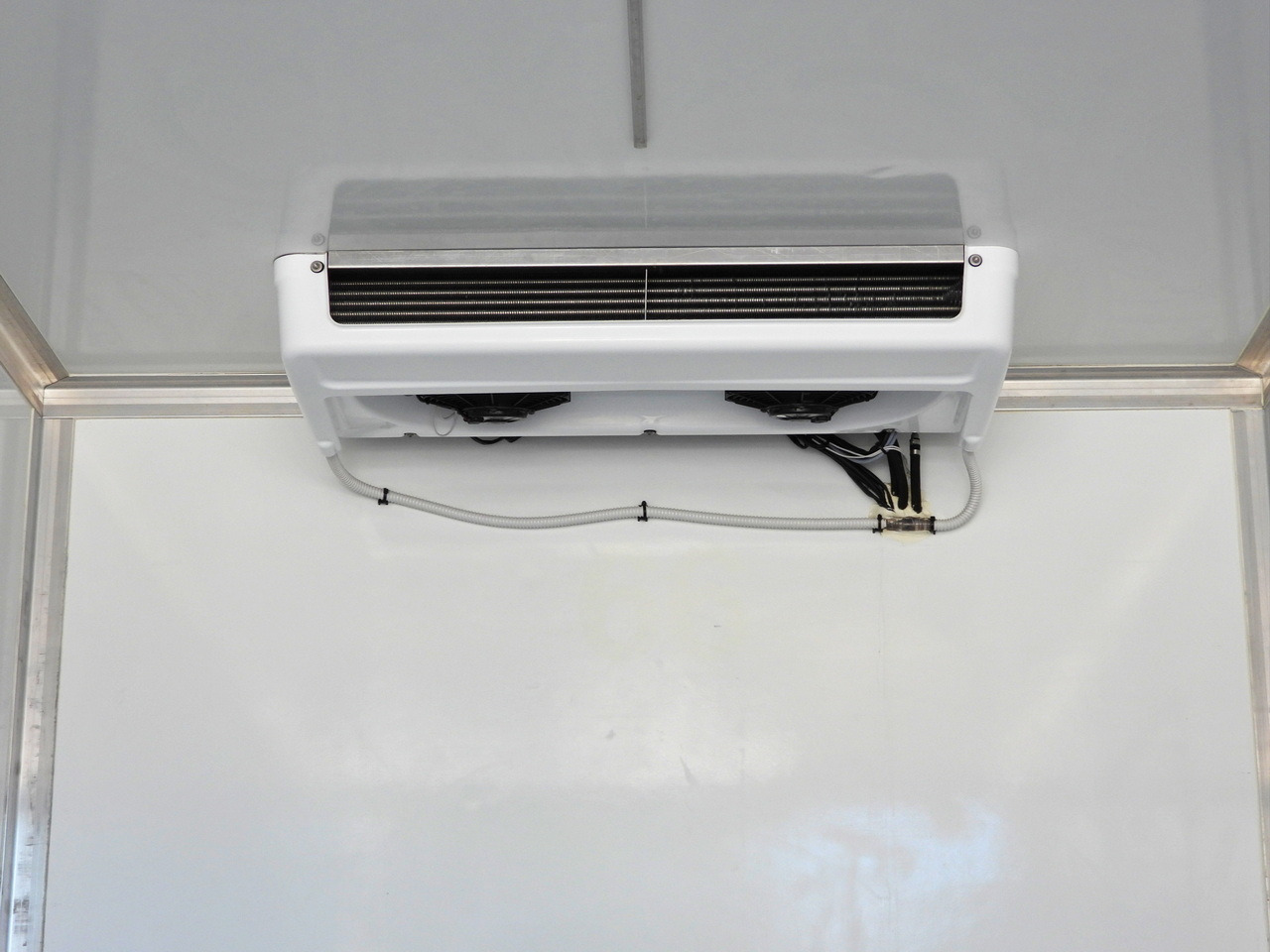 Leasing di MAN TGE 3.140 REGRIGERATOR BOX -1*C 8 PALLETS HEATING FUNCTION CRUISE CONTROL PNEUMATICS AIR CONDITIONING  140HP MAN TGE 3.140 REGRIGERATOR BOX -1*C 8 PALLETS HEATING FUNCTION CRUISE CONTROL PNEUMATICS AIR CONDITIONING  140HP: foto 22