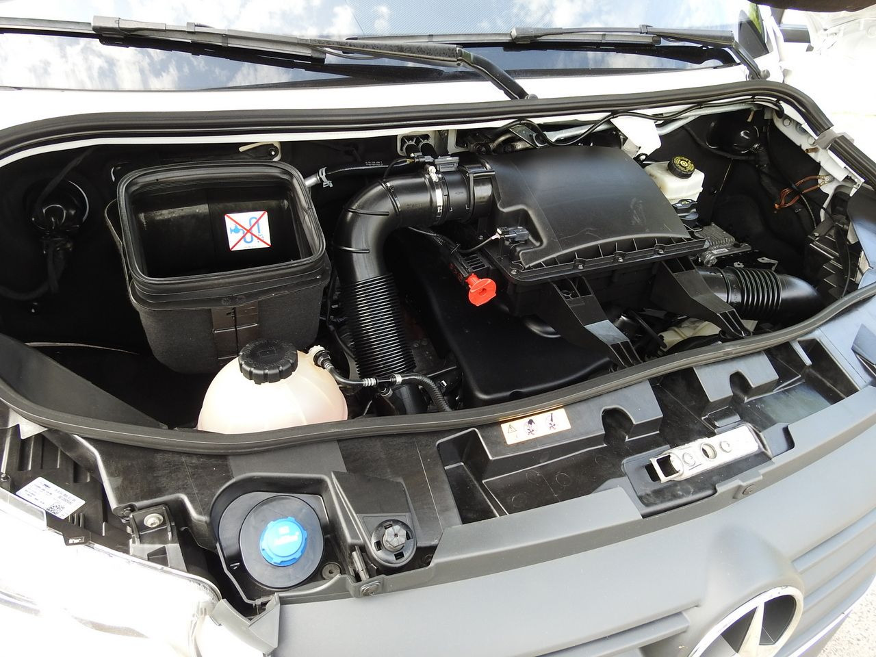 Furgone centinato MERCEDES SPRINTER 316 TARPAULIN 10 PALLETS WEBASTO CRUISE CONTROL AIR CONDITIONING  165HP: foto 26