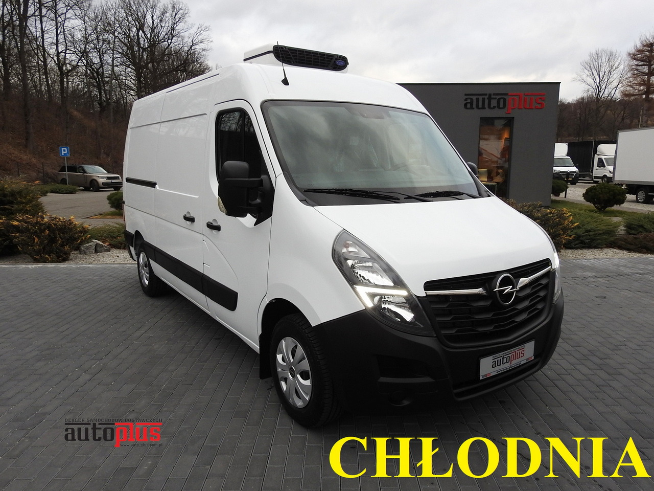 OPEL MOVANO REFRIGERATOR VAN 0*C CRUISE CONTROL NAVIGATION AIR CONDITIONING LED LIGHTS 150HP - Furgone frigo: foto 1 OPEL MOVANO REFRIGERATOR VAN 0*C CRUISE CONTROL NAVIGATION AIR CONDITIONING LED LIGHTS 150HP - Furgone frigo: foto 1