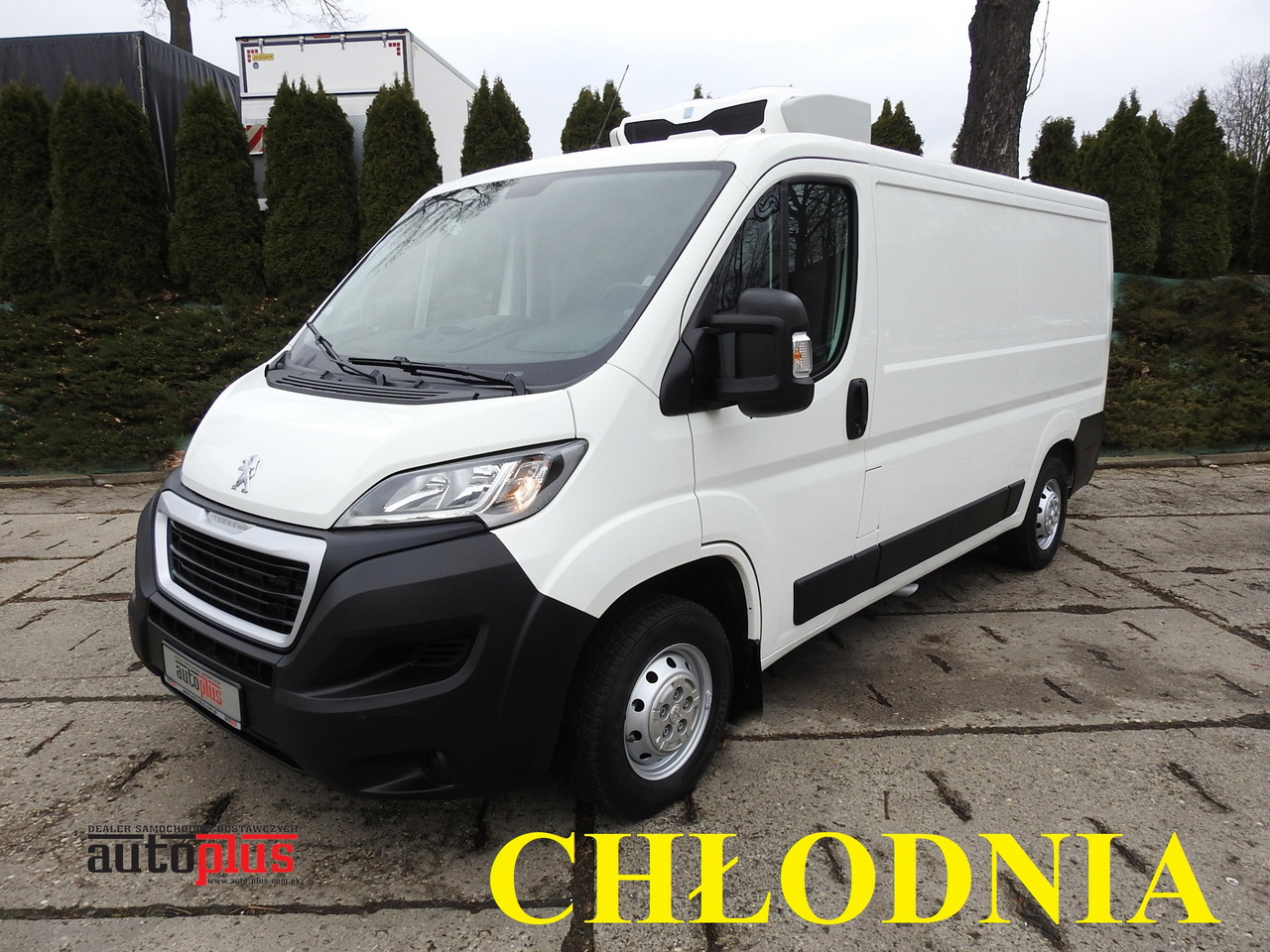 PEUGEOT BOXER REFRIGERATOR VAN -5*C TWO COMPARTMENTS CRUISE CONTROL AIR CONDITIONING 120HP - Furgone frigo: foto 1 PEUGEOT BOXER REFRIGERATOR VAN -5*C TWO COMPARTMENTS CRUISE CONTROL AIR CONDITIONING 120HP - Furgone frigo: foto 1