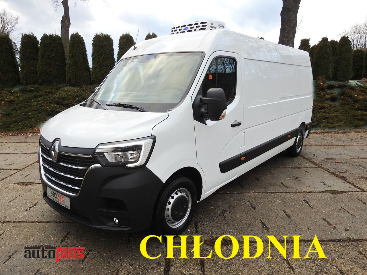 RENAULT MASTER NEW REFRIGERATOR VAN -10*C AIR CONDITIONING MANUFACTURERS 135HP - Furgone frigo: foto 1 RENAULT MASTER NEW REFRIGERATOR VAN -10*C AIR CONDITIONING MANUFACTURERS 135HP - Furgone frigo: foto 1