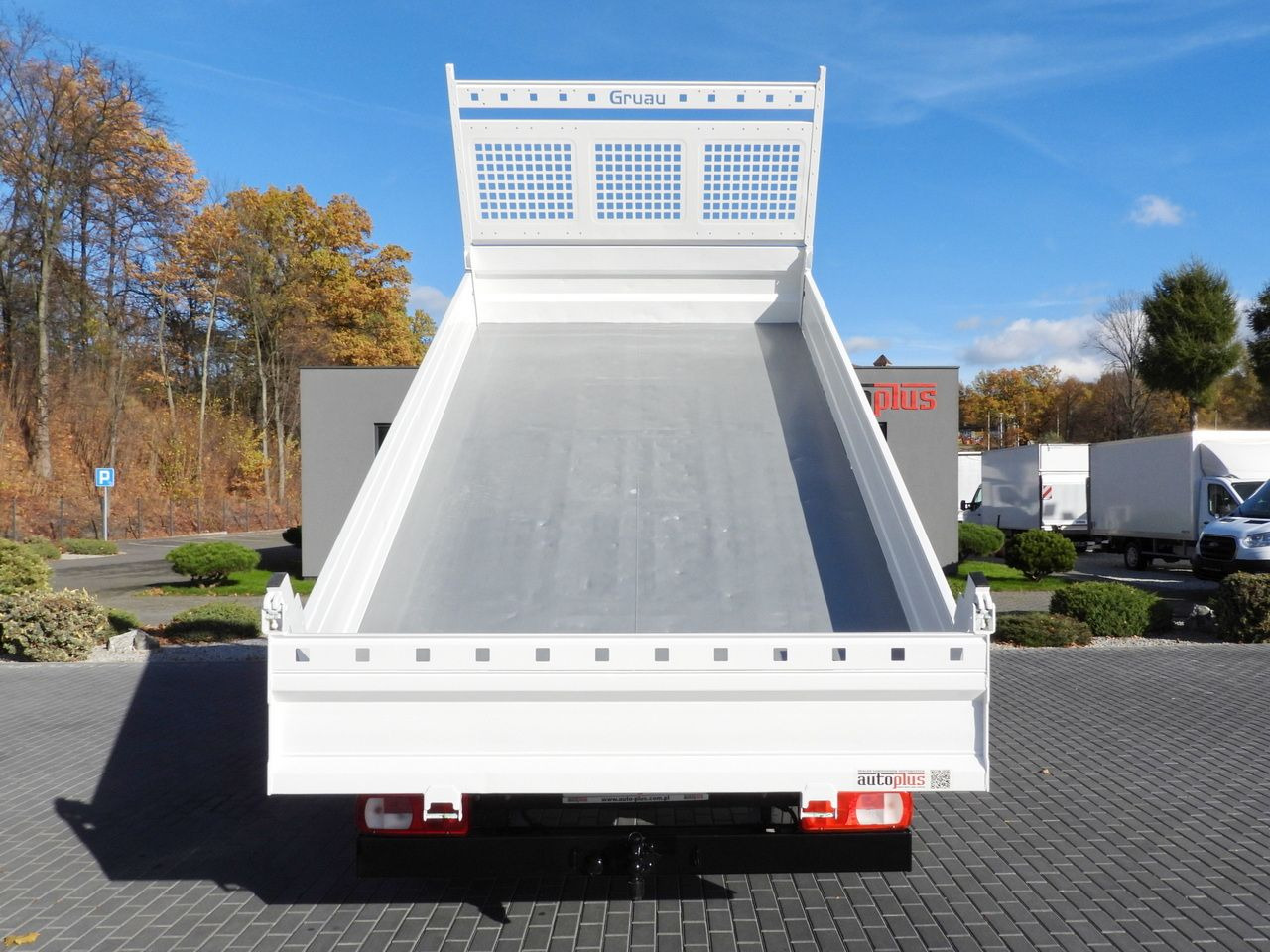 Furgone ribaltabile VOLKSWAGEN CRAFTER TIPPER CRUISE CONTROL NAVIGATION TWIN WHEELS AIR CONDITIONING  180HP: foto 11