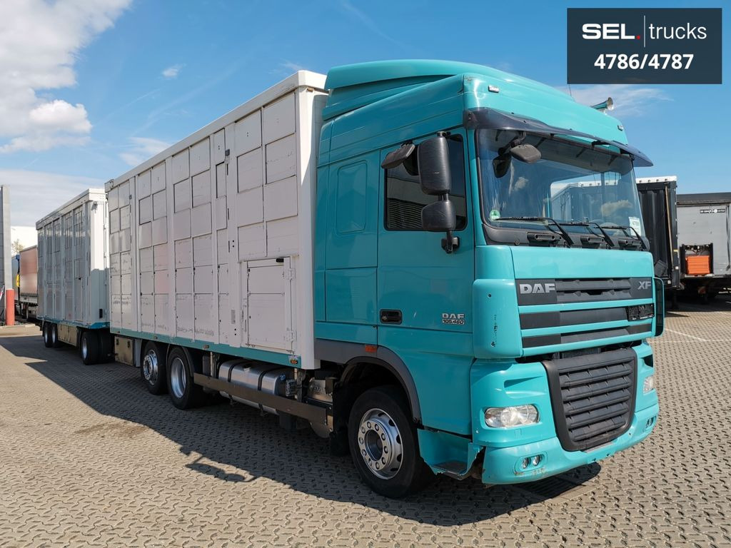 DAF XF 105.460 / Intarder / 4 Stock / KOMPLETT ! DAF XF 105.460 / Intarder / 4 Stock / KOMPLETT ! - Autocarro trasporto bestiame: foto 4 DAF XF 105.460 / Intarder / 4 Stock / KOMPLETT ! DAF XF 105.460 / Intarder / 4 Stock / KOMPLETT ! - Autocarro trasporto bestiame: foto 4