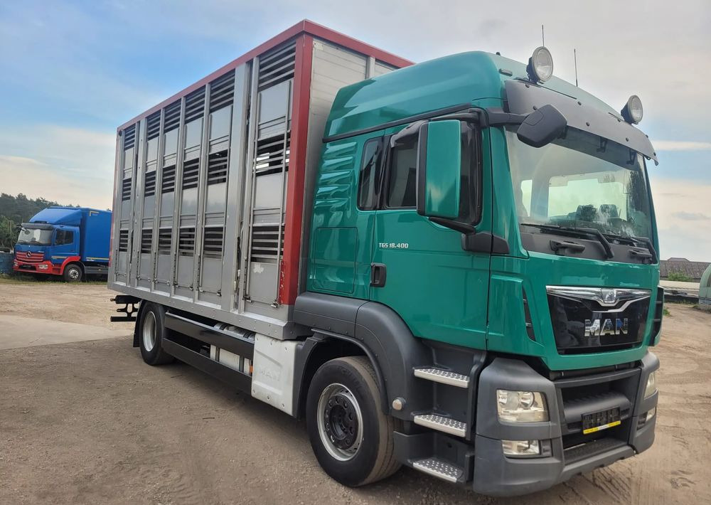 MAN TGS 18.400 Euro 6 do żywca - Autocarro trasporto bestiame: foto 2 MAN TGS 18.400 Euro 6 do żywca - Autocarro trasporto bestiame: foto 2