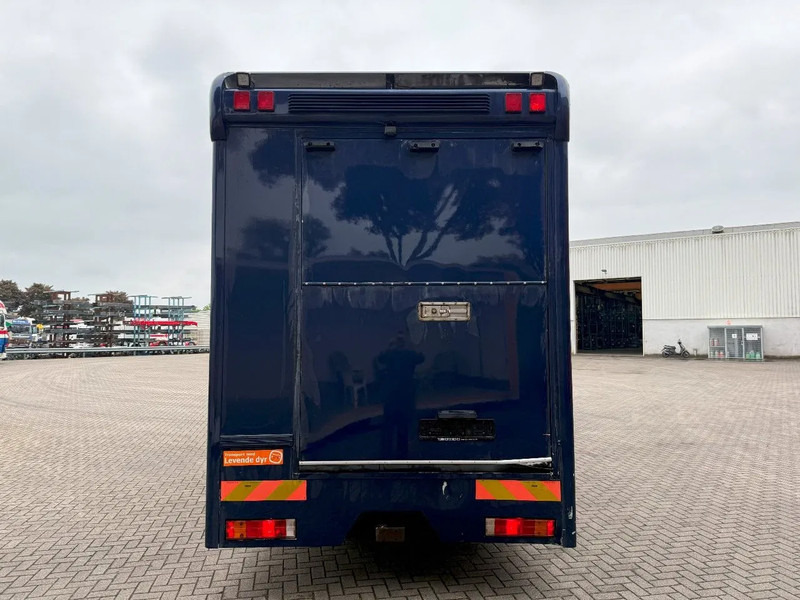 Mercedes-Benz Atego 1223 / ENGINE RUNNING / ONLY:159450 KM / HORSETRUCK / HEATED BOX / WATERTANK / LIVING ROOM / EURO-2 / MANUAL / 1998 - Van trasporto cavalli: foto 4 Mercedes-Benz Atego 1223 / ENGINE RUNNING / ONLY:159450 KM / HORSETRUCK / HEATED BOX / WATERTANK / LIVING ROOM / EURO-2 / MANUAL / 1998 - Van trasporto cavalli: foto 4