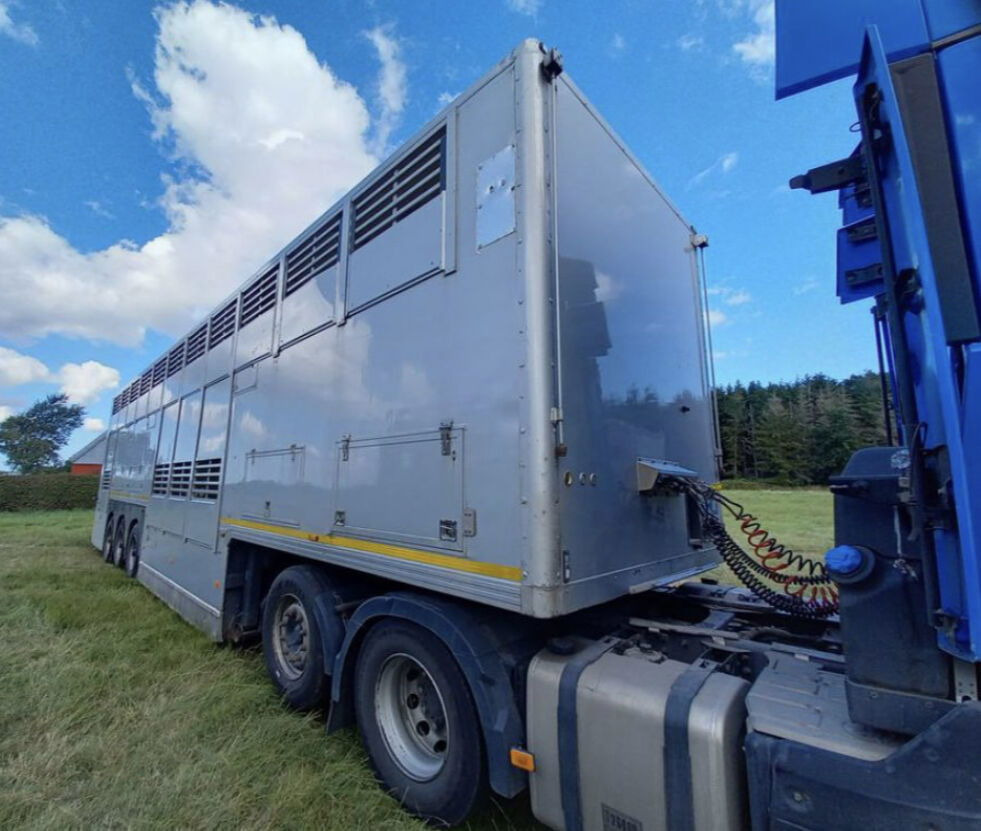 Gray and Adams Gadd3 / Works Great / Hydraulic / 2 Levels - Semirimorchio trasporto bestiame: foto 4 Gray and Adams Gadd3 / Works Great / Hydraulic / 2 Levels - Semirimorchio trasporto bestiame: foto 4