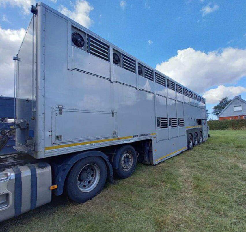 Gray and Adams Gadd3 / Works Great / Hydraulic / 2 Levels - Semirimorchio trasporto bestiame: foto 5 Gray and Adams Gadd3 / Works Great / Hydraulic / 2 Levels - Semirimorchio trasporto bestiame: foto 5