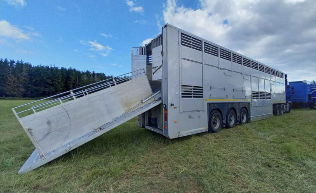 Gray and Adams Gadd3 / Works Great / Hydraulic / 2 Levels - Semirimorchio trasporto bestiame: foto 2 Gray and Adams Gadd3 / Works Great / Hydraulic / 2 Levels - Semirimorchio trasporto bestiame: foto 2