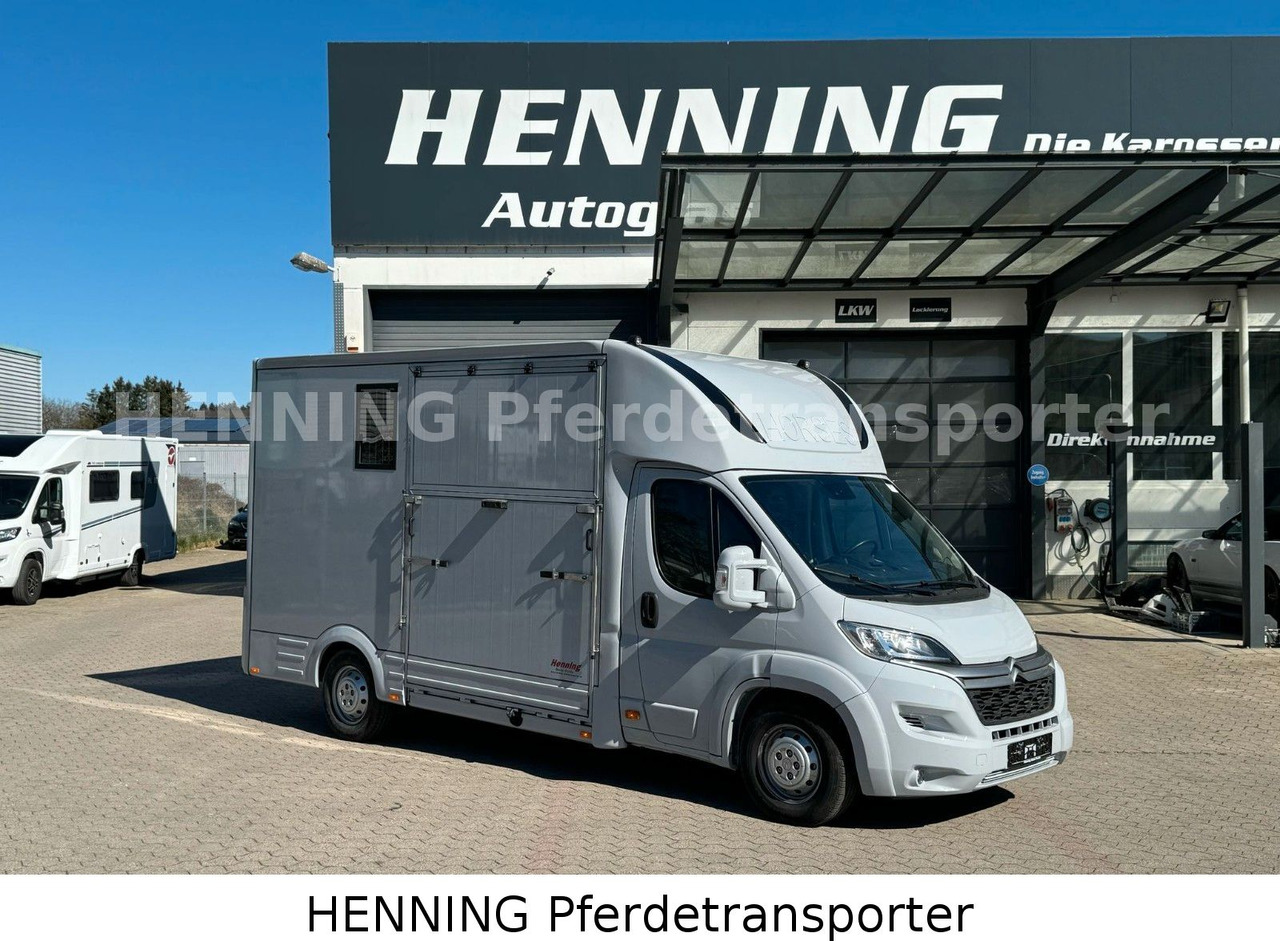Citroën Jumper 3 - Sitzer *AUFBAU NEU* - Van trasporto cavalli: foto 1 Citroën Jumper 3 - Sitzer *AUFBAU NEU* - Van trasporto cavalli: foto 1