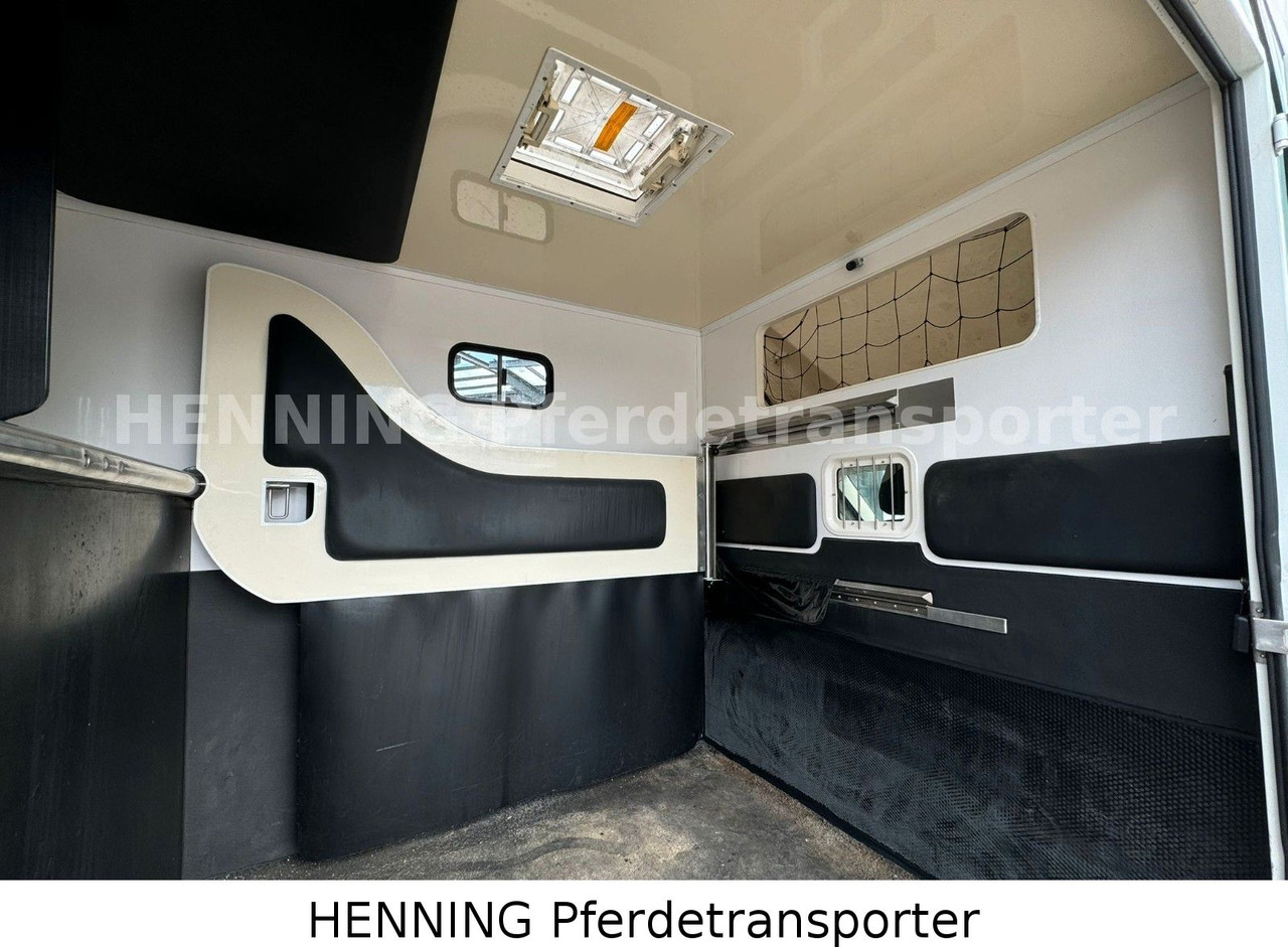 Fiat Ducato 3-Sitzer - Van trasporto cavalli, Furgone: foto 5 Fiat Ducato 3-Sitzer - Van trasporto cavalli, Furgone: foto 5