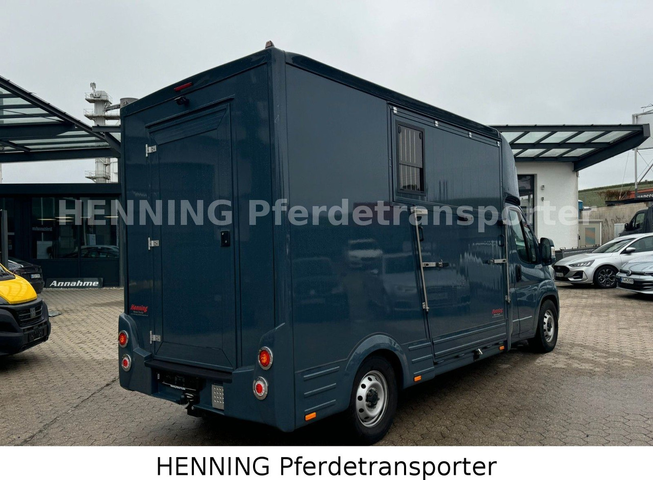 Fiat Ducato *AUTOMATIK* 3 - Sitzer - Autocarro trasporto bestiame: foto 3 Fiat Ducato *AUTOMATIK* 3 - Sitzer - Autocarro trasporto bestiame: foto 3
