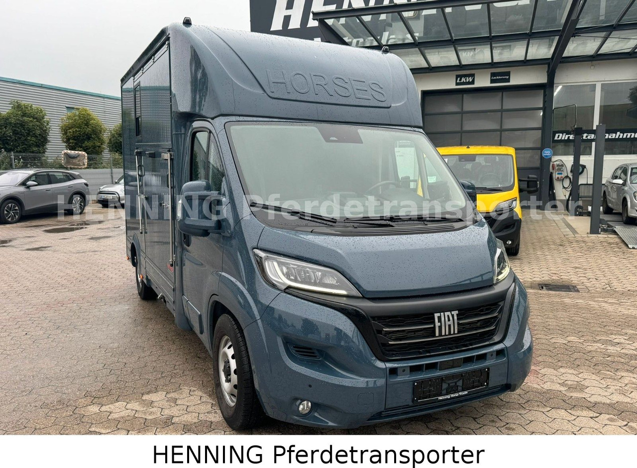 Fiat Ducato *AUTOMATIK* 3 - Sitzer - Autocarro trasporto bestiame: foto 2 Fiat Ducato *AUTOMATIK* 3 - Sitzer - Autocarro trasporto bestiame: foto 2