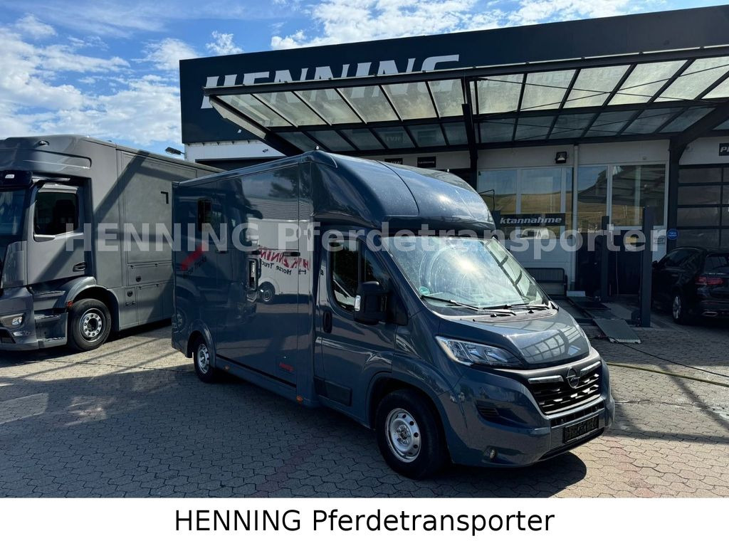 Opel Movano 3 - Sitzer *AUFBAU NEU* Opel Movano 3 - Sitzer *AUFBAU NEU* - Van trasporto cavalli: foto 1 Opel Movano 3 - Sitzer *AUFBAU NEU* Opel Movano 3 - Sitzer *AUFBAU NEU* - Van trasporto cavalli: foto 1