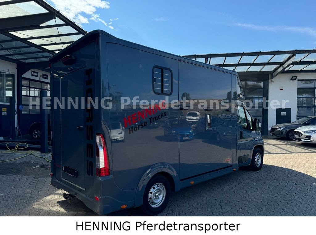 Opel Movano 3 - Sitzer *AUFBAU NEU* Opel Movano 3 - Sitzer *AUFBAU NEU* - Van trasporto cavalli: foto 2 Opel Movano 3 - Sitzer *AUFBAU NEU* Opel Movano 3 - Sitzer *AUFBAU NEU* - Van trasporto cavalli: foto 2