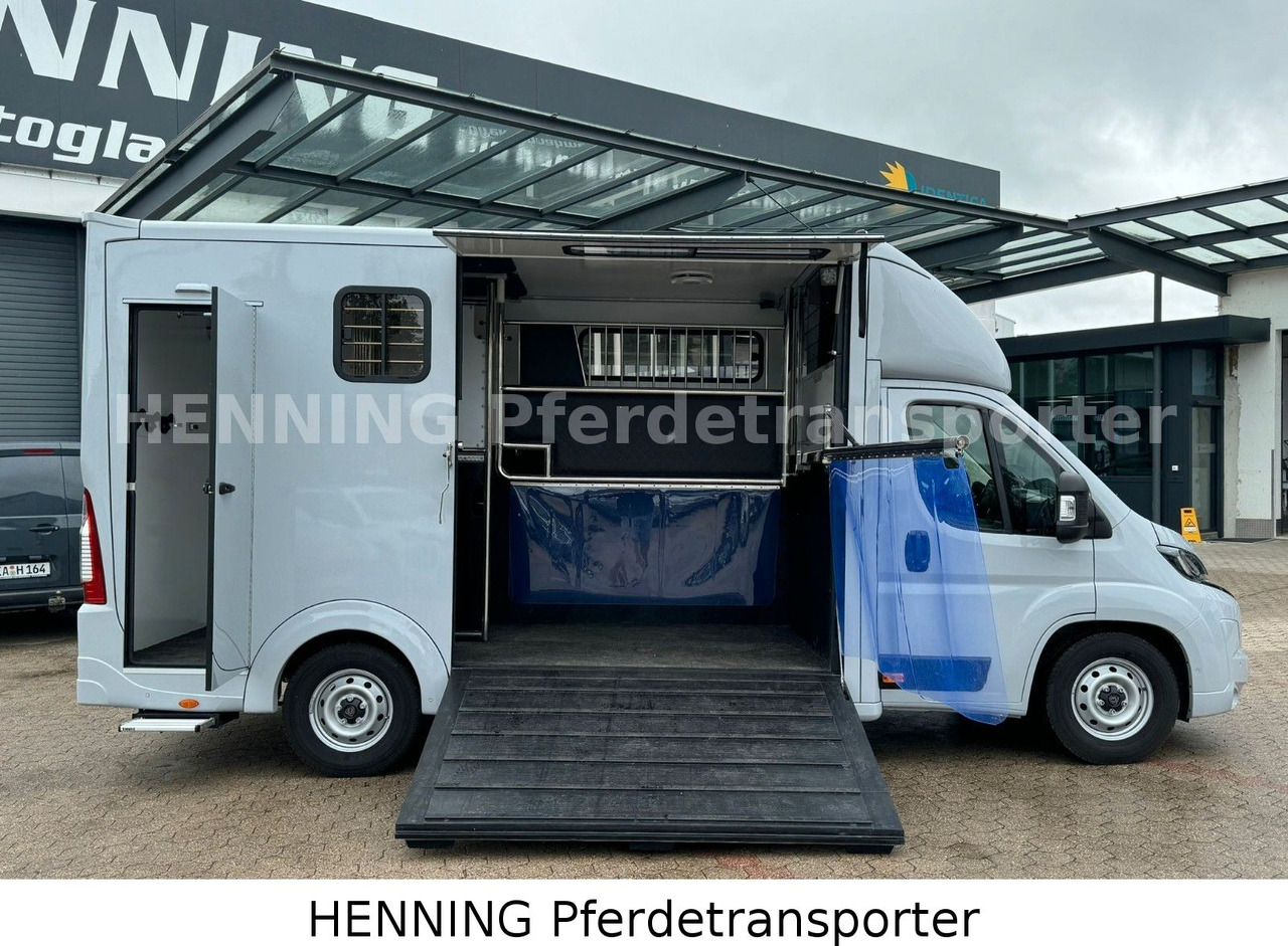 Peugeot Boxer 3 - Sitzer *GROSSE SATTELKAMMER* - Autocarro trasporto bestiame: foto 5 Peugeot Boxer 3 - Sitzer *GROSSE SATTELKAMMER* - Autocarro trasporto bestiame: foto 5