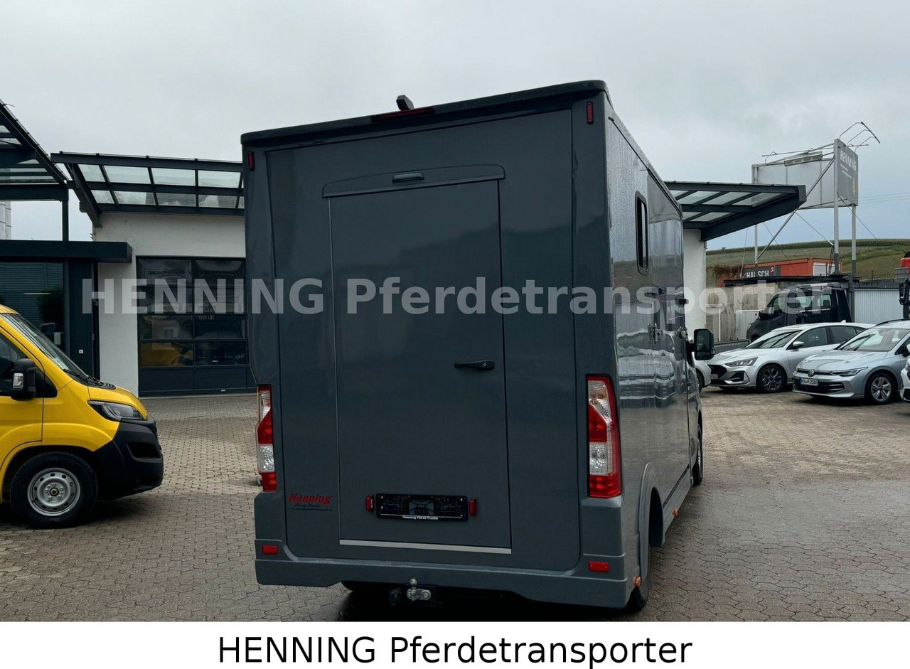 Renault Master 3 - Sitzer *NEUES MODELL* - Autocarro trasporto bestiame: foto 3 Renault Master 3 - Sitzer *NEUES MODELL* - Autocarro trasporto bestiame: foto 3