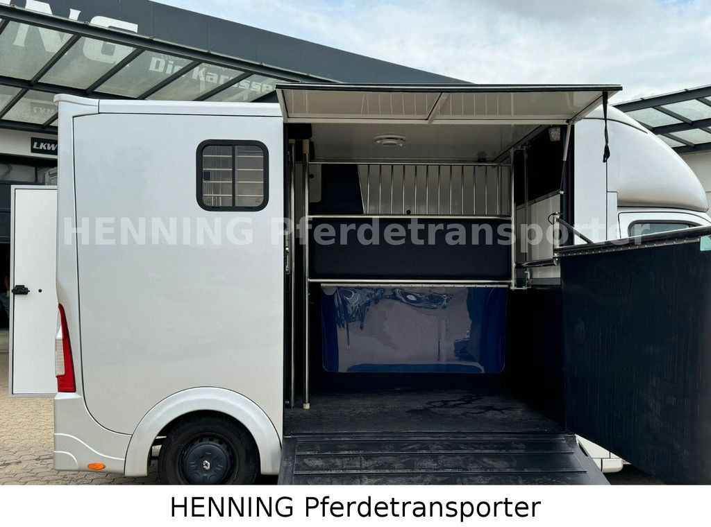 Renault Master 3 - Sitzer Renault Master 3 - Sitzer - Van trasporto cavalli: foto 5 Renault Master 3 - Sitzer Renault Master 3 - Sitzer - Van trasporto cavalli: foto 5