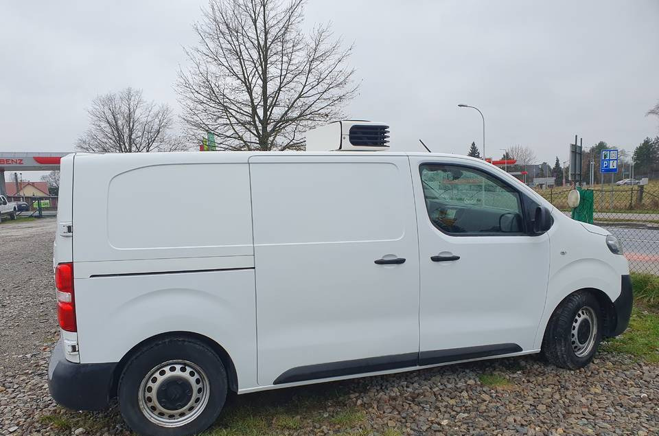 Citroen JUMPY CHLODNIA MROZNIA CARRIER+230V KLIMA EURO6 - Furgone frigo: foto 5 Citroen JUMPY CHLODNIA MROZNIA CARRIER+230V KLIMA EURO6 - Furgone frigo: foto 5