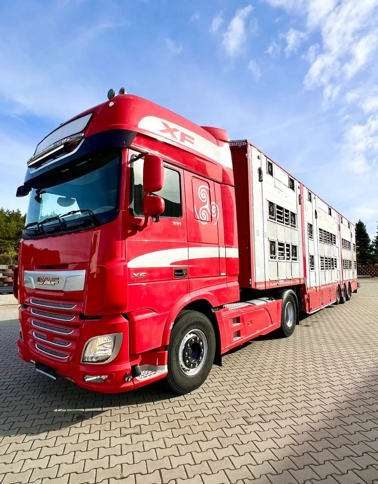 Pezzaioli NACZEPA 2017 / 3 POZIOMY / TRANSPORT ZWIERZĄT / HYDRAULIKA / STEROWANIE PILOTEM/ PODNOSZONY DACH / - Semirimorchio trasporto bestiame: foto 5 Pezzaioli NACZEPA 2017 / 3 POZIOMY / TRANSPORT ZWIERZĄT / HYDRAULIKA / STEROWANIE PILOTEM/ PODNOSZONY DACH / - Semirimorchio trasporto bestiame: foto 5