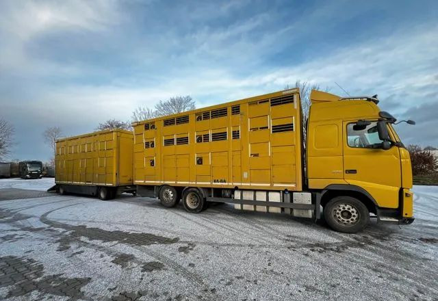 Volvo FH 420 • KABA • Transport Zwierząt 3xŚwinie/ 2xBydło 3-piętrowy • Euro 5 • Retarder • Oś podnoszona i skrętna - Autocarro trasporto bestiame: foto 3 Volvo FH 420 • KABA • Transport Zwierząt 3xŚwinie/ 2xBydło 3-piętrowy • Euro 5 • Retarder • Oś podnoszona i skrętna - Autocarro trasporto bestiame: foto 3