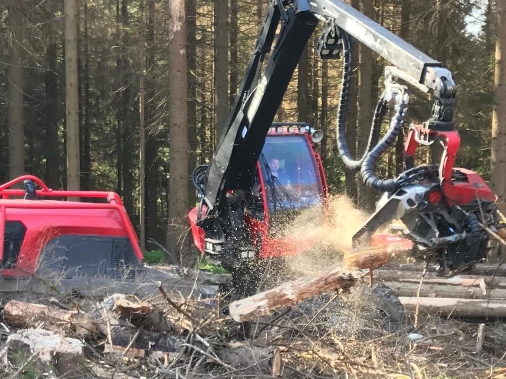 Komatsu 931XC - Abbattitrice forestale: foto 2 Komatsu 931XC - Abbattitrice forestale: foto 2