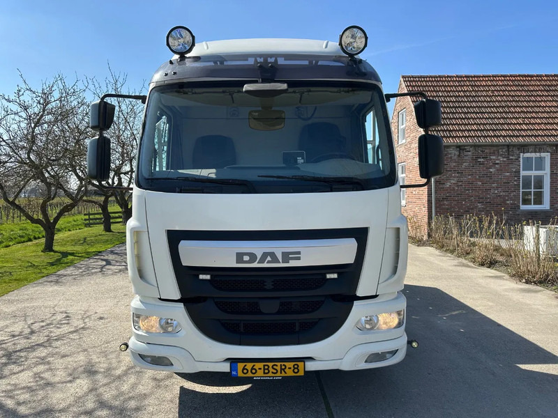 DAF LF 250 / NL TRUCK / EURO6 / LENGTE BAK 950cm / 12T - Autocarro trasporto automezzi: foto 2 DAF LF 250 / NL TRUCK / EURO6 / LENGTE BAK 950cm / 12T - Autocarro trasporto automezzi: foto 2