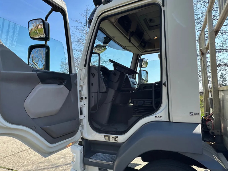 DAF LF 250 / NL TRUCK / EURO6 / LENGTE BAK 950cm / 12T - Autocarro trasporto automezzi: foto 5 DAF LF 250 / NL TRUCK / EURO6 / LENGTE BAK 950cm / 12T - Autocarro trasporto automezzi: foto 5
