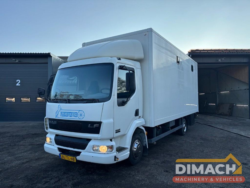 DAF FA LF45.150 4 paards, laadlift. Horsetruck NL truck - Van trasporto cavalli: foto 1 DAF FA LF45.150 4 paards, laadlift. Horsetruck NL truck - Van trasporto cavalli: foto 1