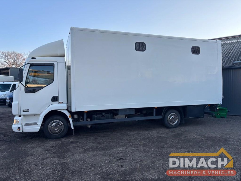 Leasing di DAF FA LF45.150 4 paards, laadlift. Horsetruck NL truck DAF FA LF45.150 4 paards, laadlift. Horsetruck NL truck: foto 6