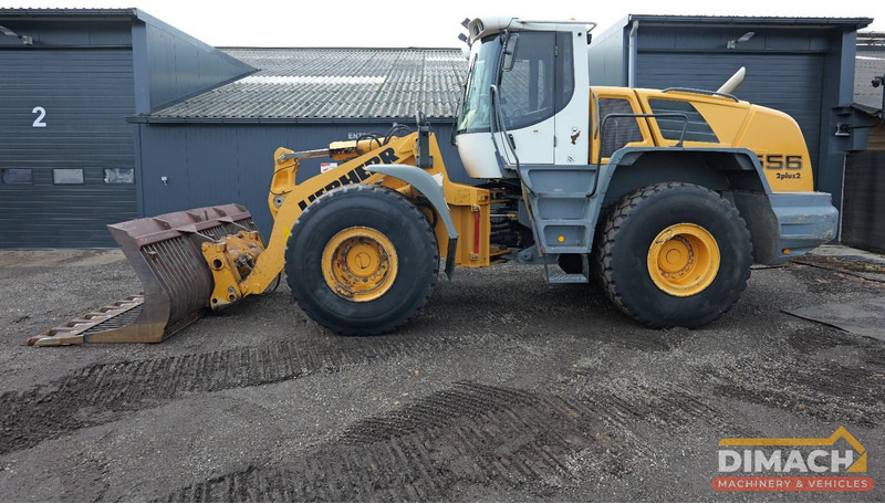 Liebherr L556 Like new!! Airco, quick coupler, skeleton bucket with teeths - Pala gommata: foto 1 Liebherr L556 Like new!! Airco, quick coupler, skeleton bucket with teeths - Pala gommata: foto 1