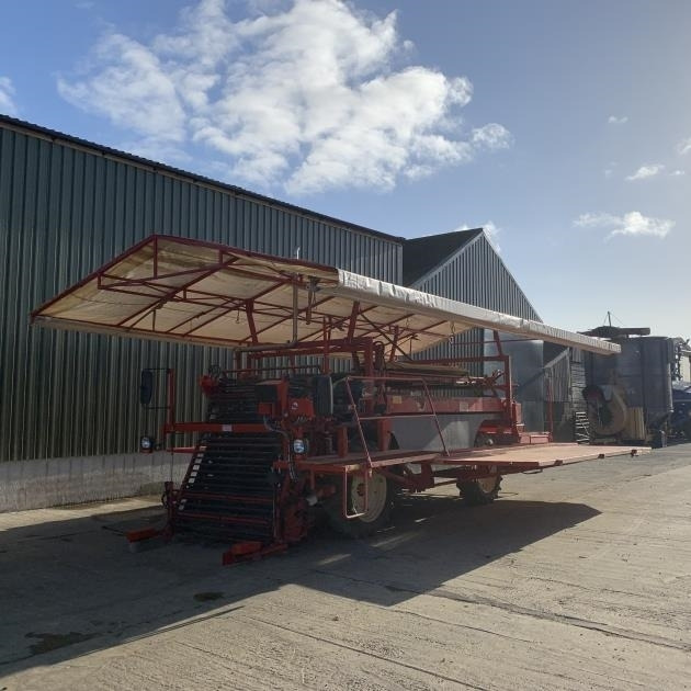 Simons Salad / Lettuce Harvester Simons  - Accessori per macchine da raccolta: foto 1 Simons Salad / Lettuce Harvester Simons  - Accessori per macchine da raccolta: foto 1