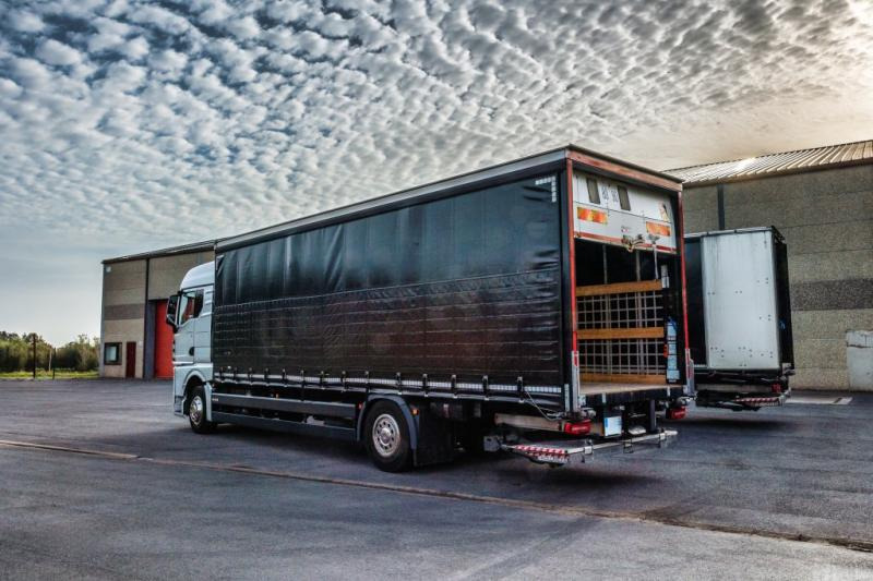 MAN TGX 18.400 XLX+HAYON - Camion centinato: foto 4 MAN TGX 18.400 XLX+HAYON - Camion centinato: foto 4