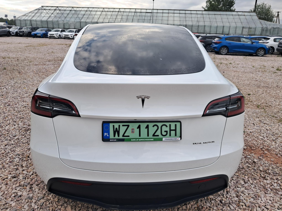 TESLA MODEL Y SUV - SUV/ Fuoristrada: foto 5 TESLA MODEL Y SUV - SUV/ Fuoristrada: foto 5