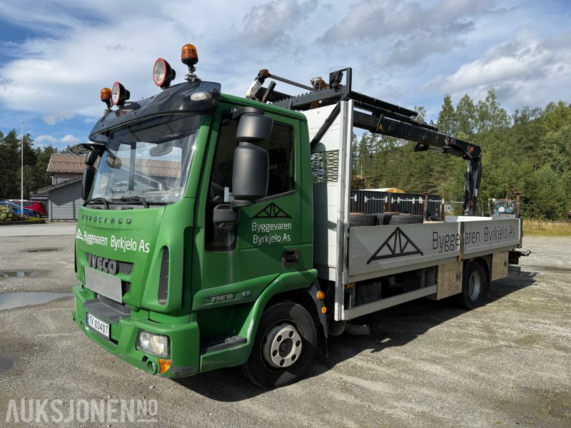 Camion con gru 2011 Iveco Eurocargo: foto 1