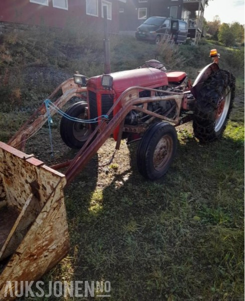 Traktor - Massey Ferguson - Trattore: foto 2 Traktor - Massey Ferguson - Trattore: foto 2