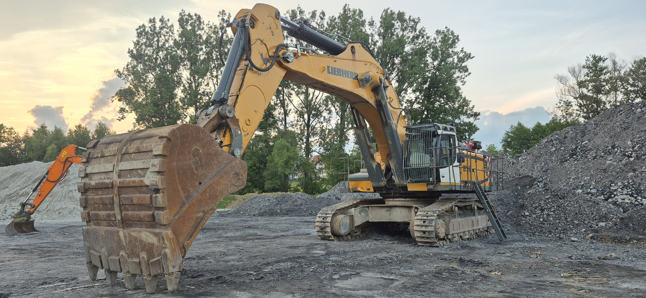 Escavatore cingolato LIEBHERR R976 HD: foto 10