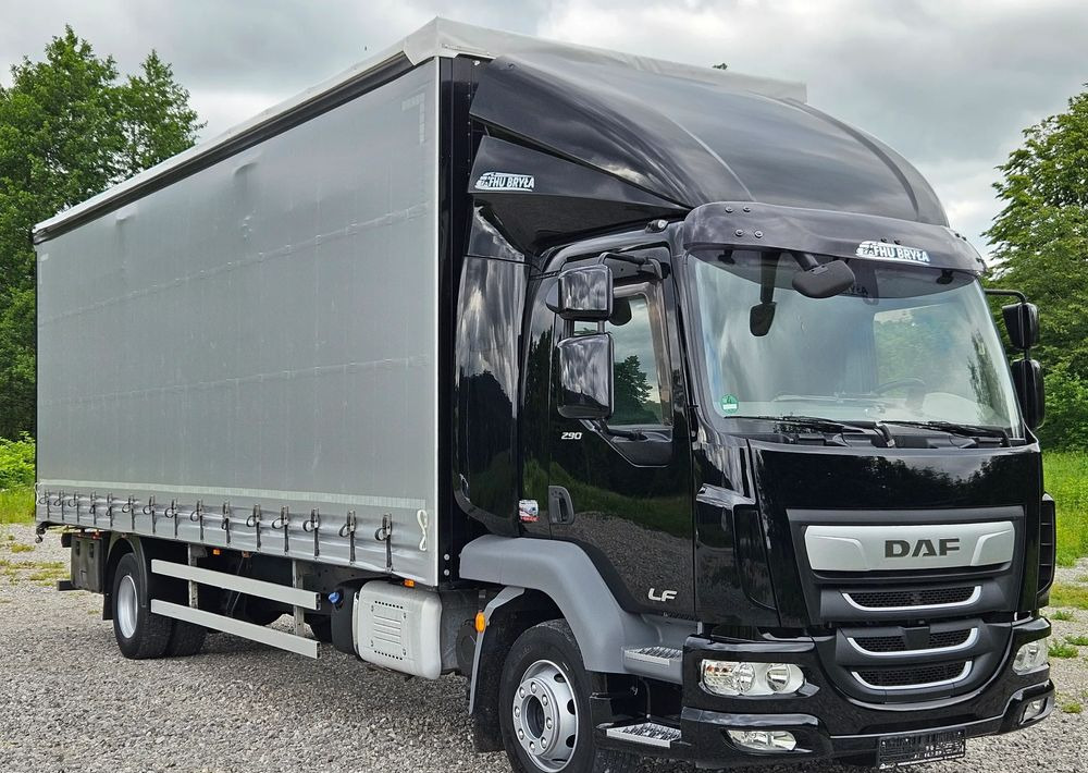 DAF LF 290/WINDA/16TON DMC/FIRANKA/AUTOMAT/16TON DMC/JEDEN WŁAŚCICIE/EURO 6/2019/SPROWADZONY/20PALET/NISKI PRZEBIEG/DUŻA ŁADOWNOŚĆ/JAK NOWY - Camion centinato: foto 2 DAF LF 290/WINDA/16TON DMC/FIRANKA/AUTOMAT/16TON DMC/JEDEN WŁAŚCICIE/EURO 6/2019/SPROWADZONY/20PALET/NISKI PRZEBIEG/DUŻA ŁADOWNOŚĆ/JAK NOWY - Camion centinato: foto 2