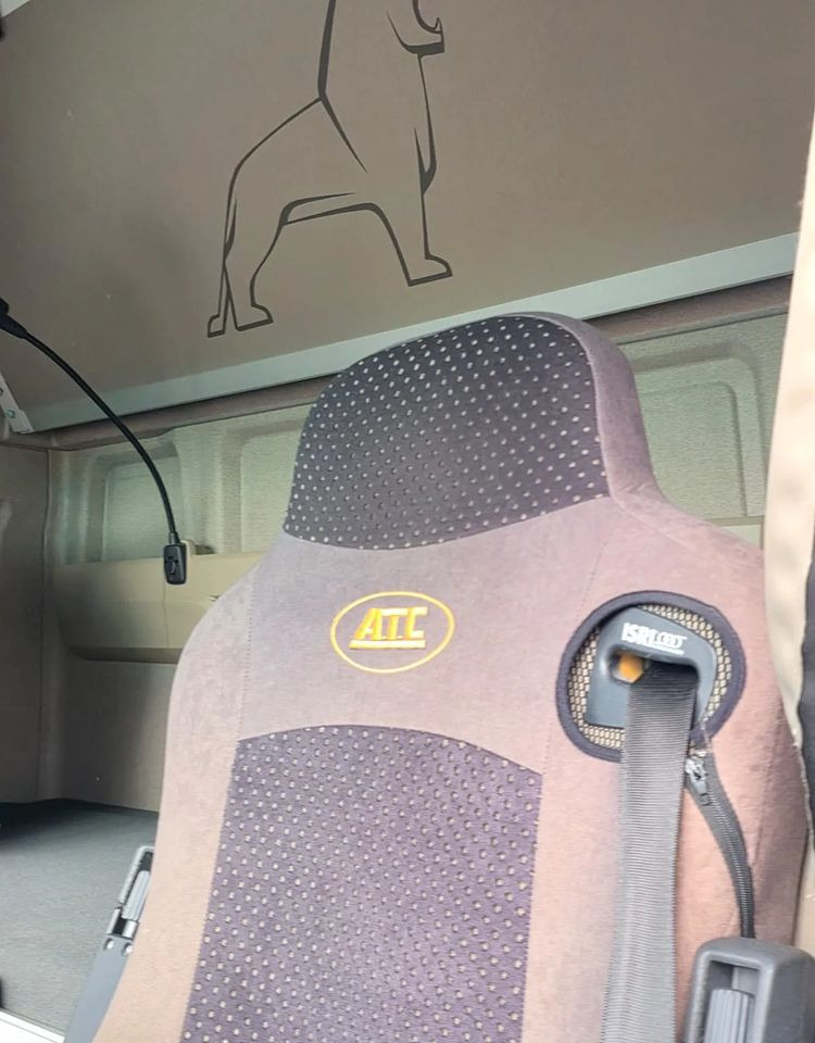 Autocarro telaio MAN TGX 18.430 / SPROWADZONY / DO ŻYWCA / 2020 / KLIMA POSTOJOWA / SERWISOWANY / JAK NOWY / NISKI PRZEBIEG / RAMA / BDF / E6: foto 20