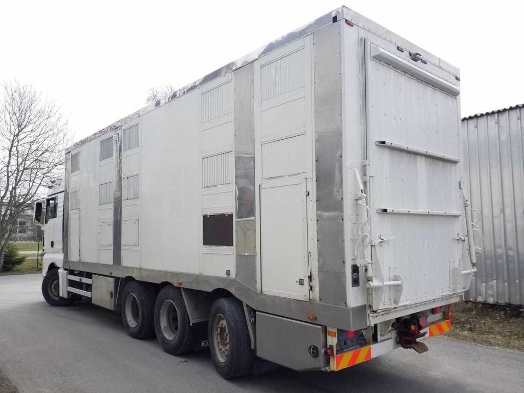 MAN TGX 35.540 8X4 TRIDEM ANIMAL - Autocarro trasporto bestiame: foto 2 MAN TGX 35.540 8X4 TRIDEM ANIMAL - Autocarro trasporto bestiame: foto 2