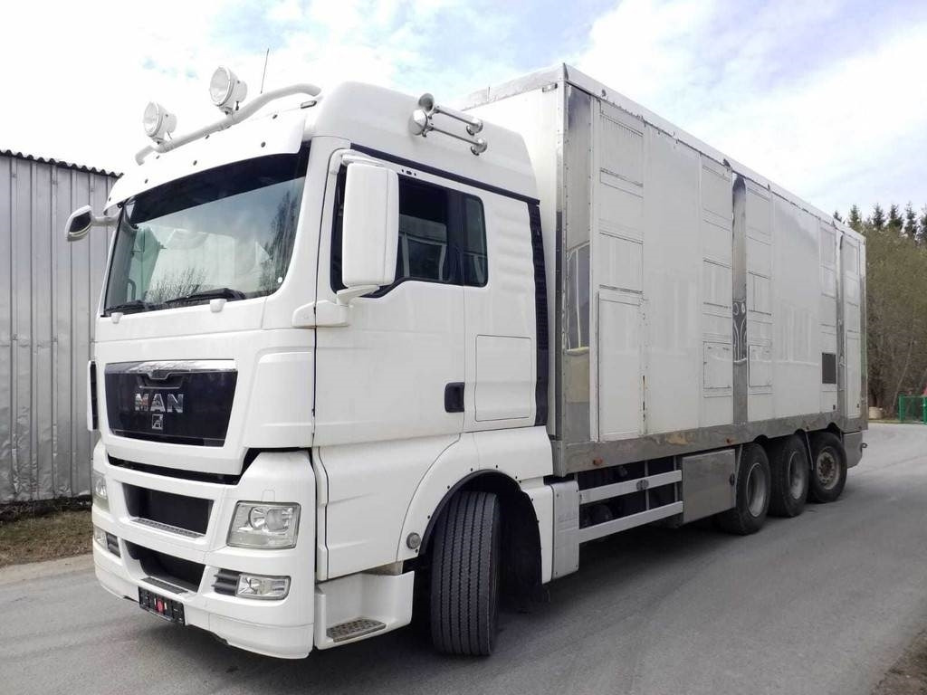 MAN TGX 35.540 8X4 TRIDEM ANIMAL - Autocarro trasporto bestiame: foto 1 MAN TGX 35.540 8X4 TRIDEM ANIMAL - Autocarro trasporto bestiame: foto 1
