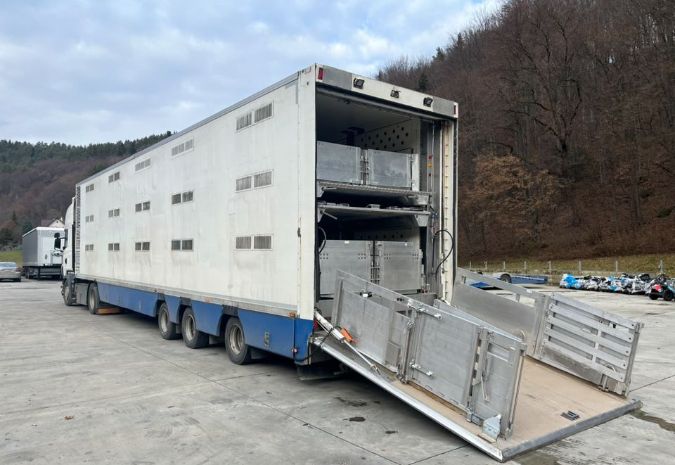 Pezzaioli HMK Industri // Do przewozu zwierząt // 2004 Rok // 3 Pokłady // Waga // Osi skrętne // Oznonacja // - Semirimorchio trasporto bestiame: foto 1 Pezzaioli HMK Industri // Do przewozu zwierząt // 2004 Rok // 3 Pokłady // Waga // Osi skrętne // Oznonacja // - Semirimorchio trasporto bestiame: foto 1