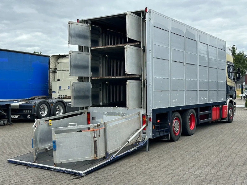 Scania R420 6x2 Topline / 3 Stock Animal Transport / Retarder / Euro 5 - Autocarro trasporto bestiame: foto 5 Scania R420 6x2 Topline / 3 Stock Animal Transport / Retarder / Euro 5 - Autocarro trasporto bestiame: foto 5