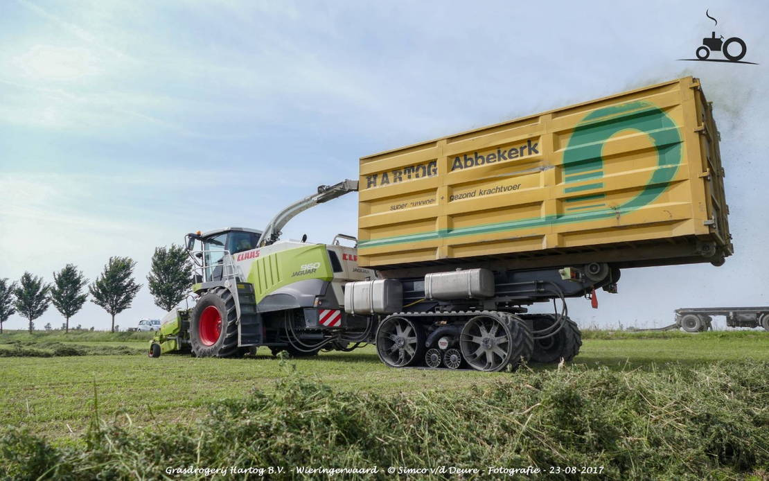 LEEUBUUR Haksel container 39m3 2 stuks op voorraad - Cassone scarrabile: foto 1 LEEUBUUR Haksel container 39m3 2 stuks op voorraad - Cassone scarrabile: foto 1