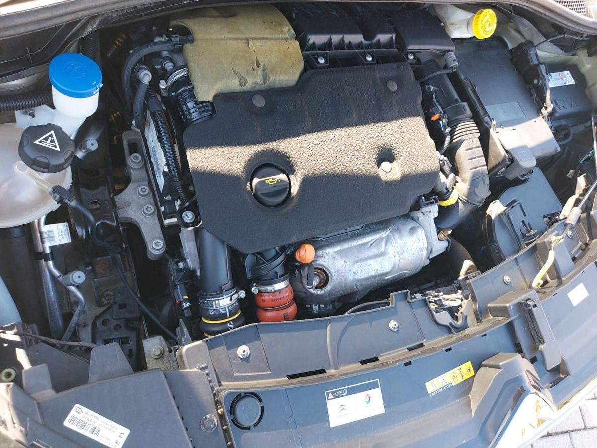 Berlina Citroën C4 Cactus Feel DAB Klima Sitzheizung PDC: foto 24