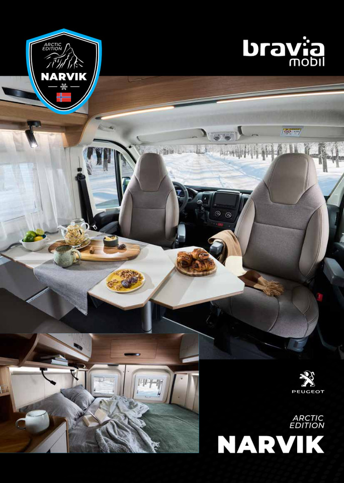 Furgonato nuovo Bravia Swan 599 Nordic: foto 18 Furgonato nuovo Bravia Swan 599 Nordic: foto 18