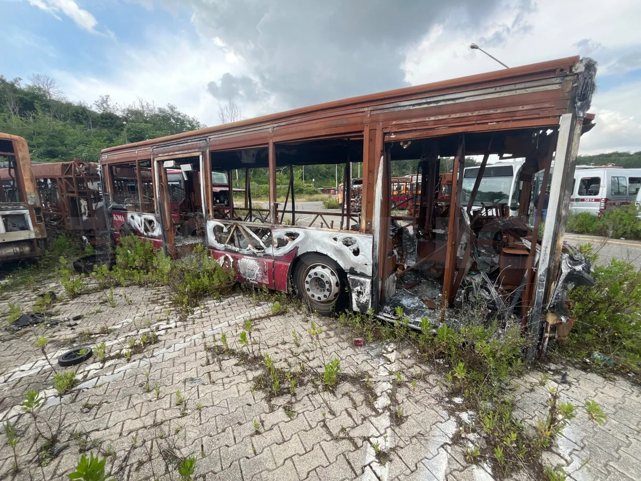 Bundle di 7 mezzi Iveco - Citelis Iveco - Citelis Iveco - Citelis Iveco - Citelis Iveco - Citelis Iveco - Citelis Iveco - Citelis - Autobus urbano: foto 3 Bundle di 7 mezzi Iveco - Citelis Iveco - Citelis Iveco - Citelis Iveco - Citelis Iveco - Citelis Iveco - Citelis Iveco - Citelis - Autobus urbano: foto 3